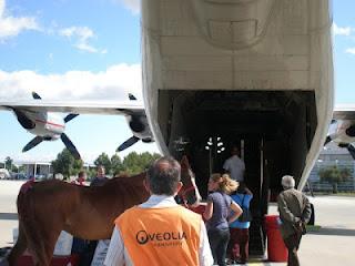 Endurance: i cavalli di Sheik Al Maktoum arriveranno in aereo a Falconara