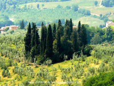 Di terremoti dentro e fuori (e di riconciliazioni con la vita)