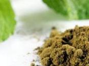 Stevia, alterativa naturale dolcificanti