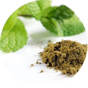 stevia_alternativa-zucchero-artificiale