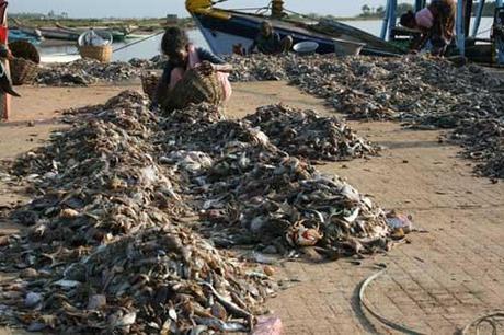 Ambiente, sacchetti di plastica e sporte di tela fai da te