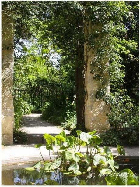 Jardin Serre de la Madone