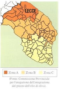 Olivicoltura del Salento leccese: La situazione attuale