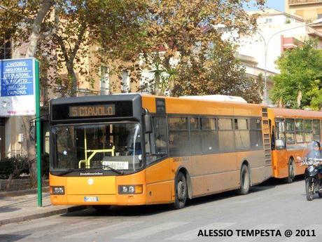 Marsala: la Sorprendente SMA