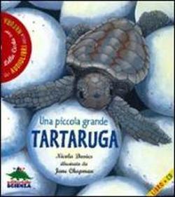 Miss Caretta, dopo 25 anni dalla nascita riesce a tornare dove è nata