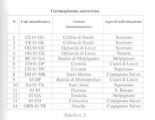 Recupero, conservazione, selezione e salvaguardia del patrimonio olivicolo