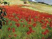 Papaveri ritorno)