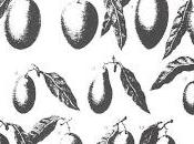 Varietà' descritte presta