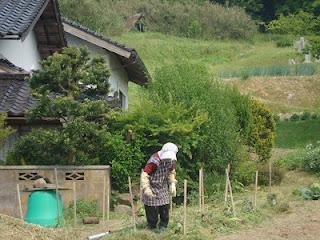 Immagini Giapponesi- Honshu centro meridionale