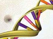 Bioetica