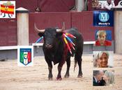 Euro 2012: MATADOS!