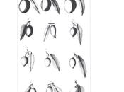 Varieta' descritte moschettini