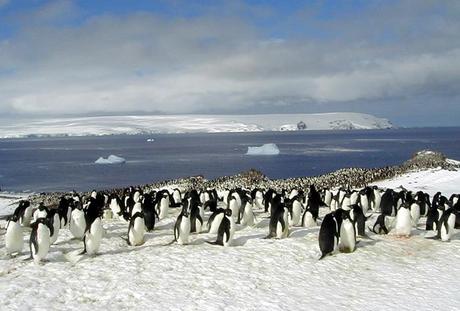 Dalla Patagonia al ‘Paradiso’: il nuovo itinerario di Crystal Cruises per esplorare le meraviglie del Sud America