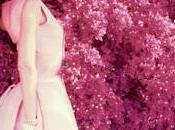 Donne bougainvillea