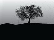 Wallpapers bianco nero