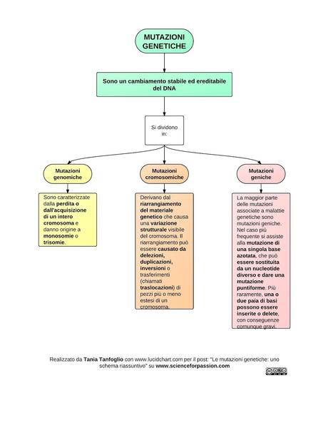 Le mutazioni genetiche: uno schema riassuntivo