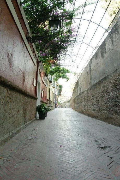 Grandangolo nel Barrio de Santa Cruz