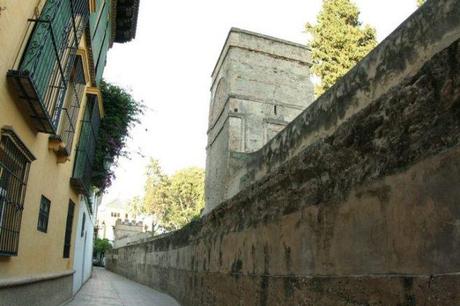 Grandangolo nel Barrio de Santa Cruz