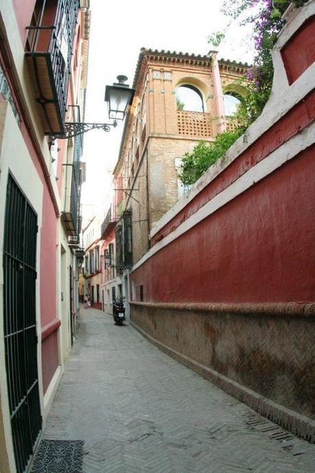 Grandangolo nel Barrio de Santa Cruz