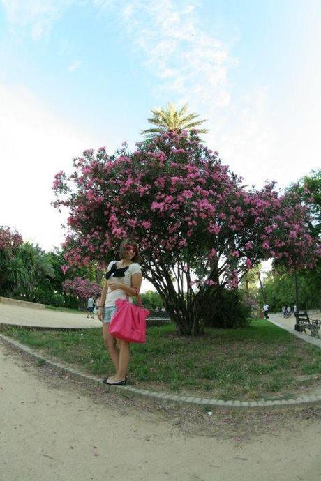 Grandangolo nel Barrio de Santa Cruz