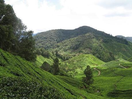 Borneo e la giungla urbana di Kuala Lumpur