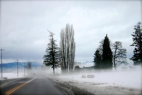 IN OREGON LE TEMPERATURE STANNO CALANDO SUL LUNGO TERMINE DAL 1998