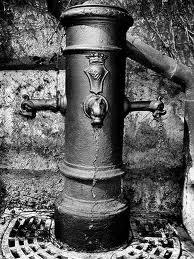 BOTTE A ROMA PER L'ACQUA: LO SPONSOR DI ALEMANNO