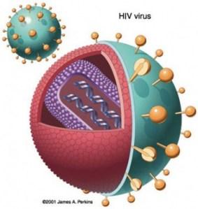 Novità virus dell’AIDS: in arrivo il test HIV fai da te