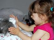 Roba gatti: nessun dorma!