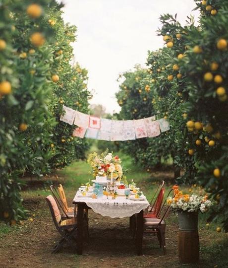 How to do: feste all’aria aperta, pic-nic, garden party