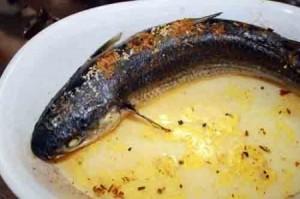 Cefali facili all’aceto