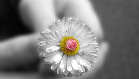 Texture gratis in sughero