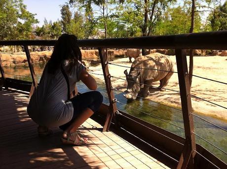 BIOPARC - VALENCIA.