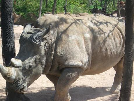 BIOPARC - VALENCIA.