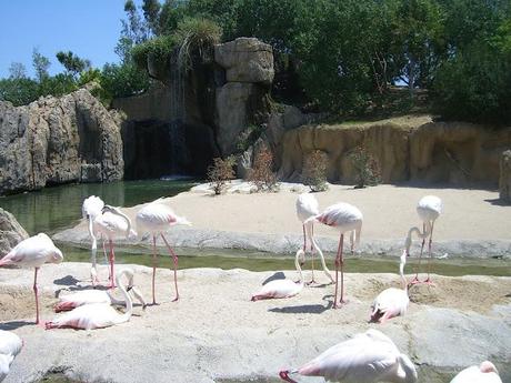 BIOPARC - VALENCIA.