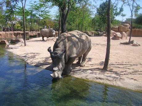 BIOPARC - VALENCIA.