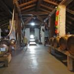 Per chi volesse aiutare le persone e le aziende emiliane.