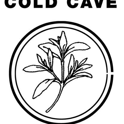 Cold Cave – Believe In Our Blood (b-side)