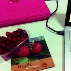 Merenda con le Fragole di Tortona