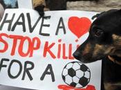 Photos month [Giugno 2012] Petizione