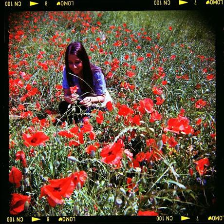 Poppies Mode: ON (#3) - poppies and WZFO ami66