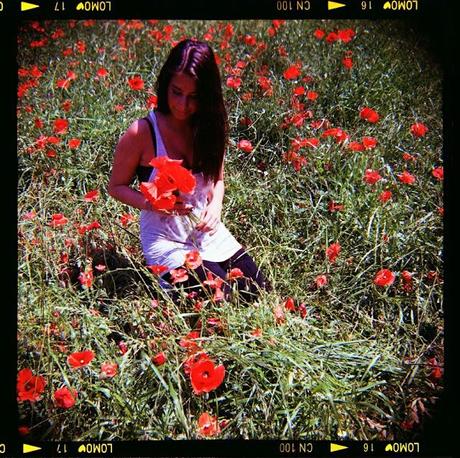 Poppies Mode: ON (#3) - poppies and WZFO ami66