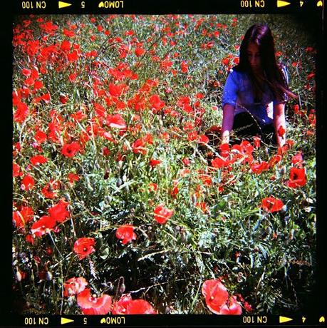 Poppies Mode: ON (#3) - poppies and WZFO ami66