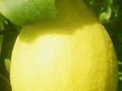 limoni sotto pressione,anche Cipro esplora possibilità salvataggio…