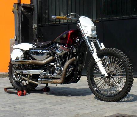 XL 1200 HarleyDavidson Pavia