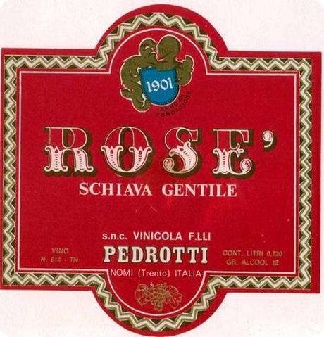 pedrottirose pedrottirose