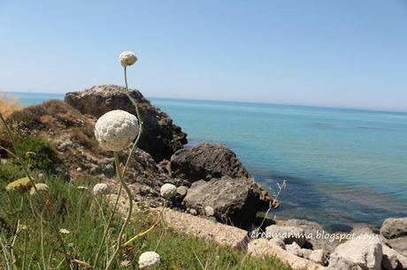 Cartoline di Sicilia