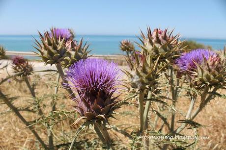 Cartoline di Sicilia