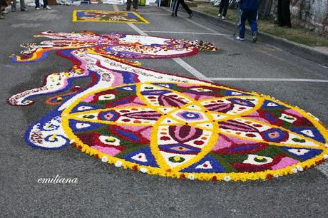 L'infiorata di Spello