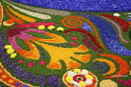 L'infiorata di Spello